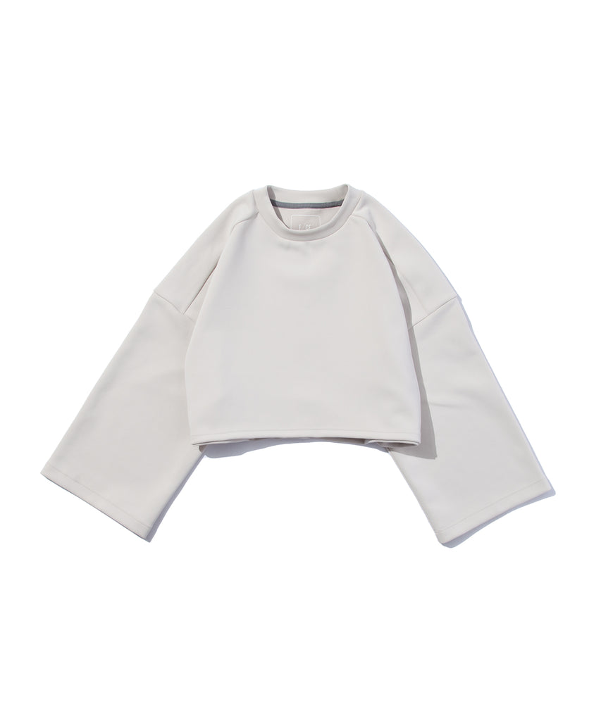 Delta Cropped Top in Ivory